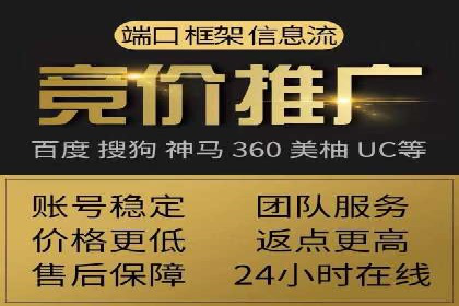 探索百度竞价代理的未来发展趋势与挑战